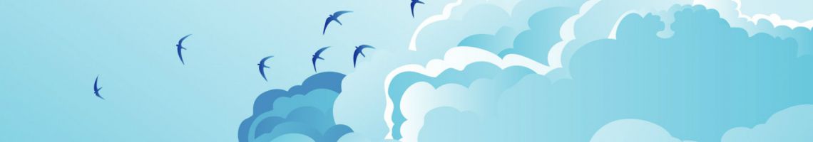 Птицы в облаках